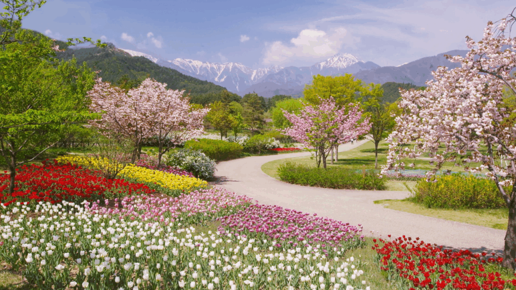 Venta de maquinaria de jardín en Alpedrete